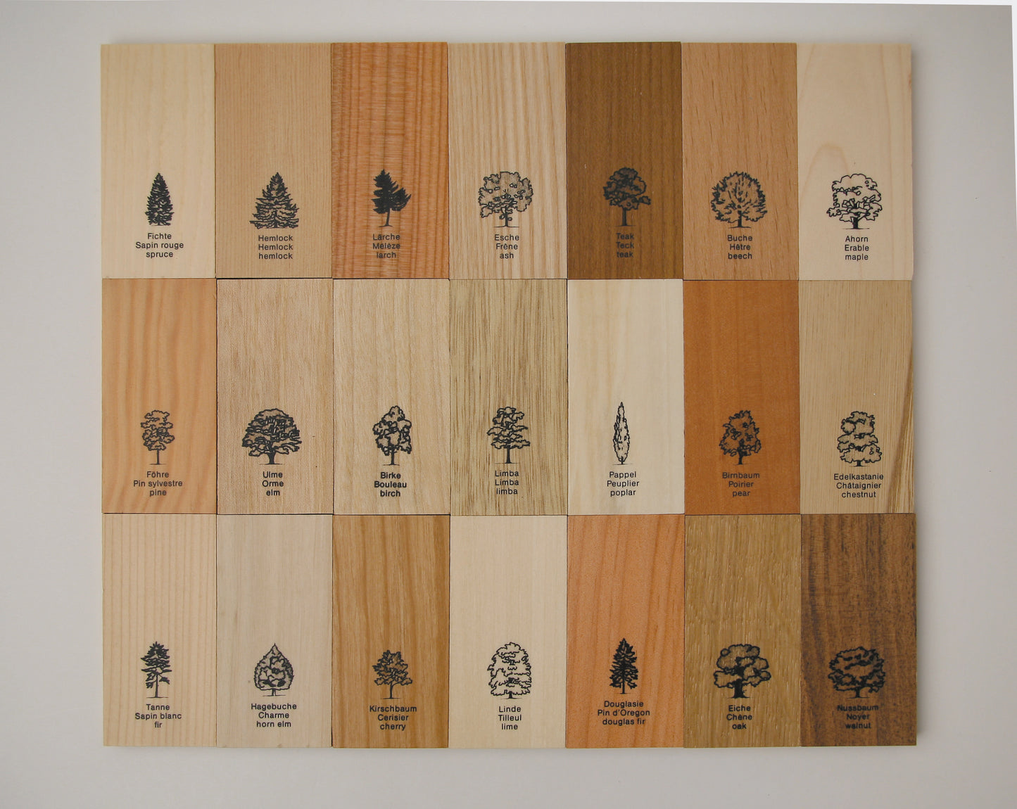 Wood Collection