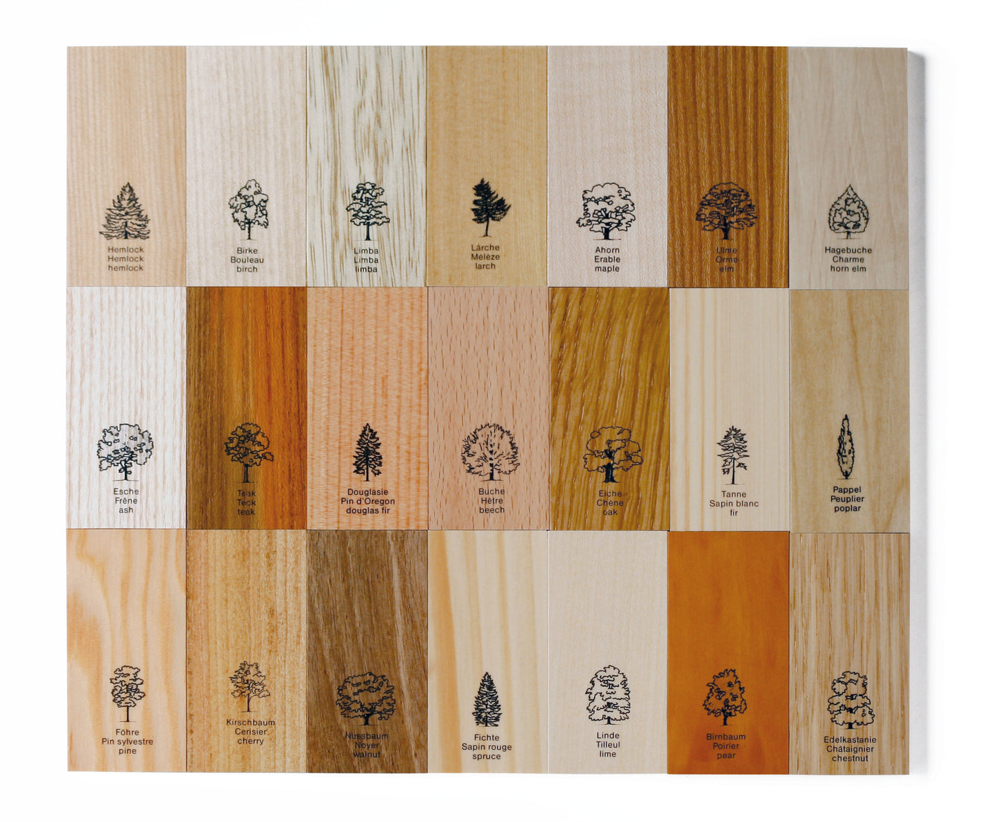 Wood Collection